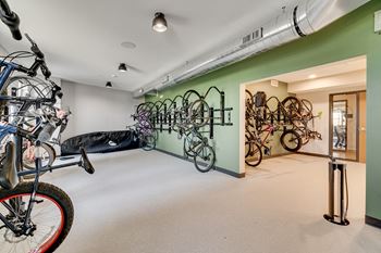 Complimentary paddleboards and trail bikes